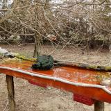 photo 2021-03-22 10-39-01