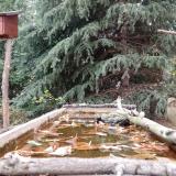 photo 2023-10-19 15-06-00