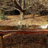 photo 2021-10-26 14-35-46