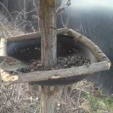 photo 2019-03-04 07-15-15