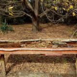 photo 2021-10-22 13-25-14