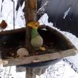 photo 2019-01-20 11-32-40