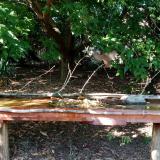 photo 2021-09-09 15-57-43