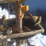 photo 2019-01-31 14-48-13