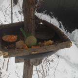 photo 2019-01-23 09-15-08