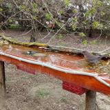 photo 2021-04-06 15-30-15