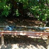 photo 2021-09-26 11-47-38