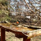 photo 2022-03-19 12-43-59