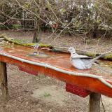 photo 2021-03-31 11-31-04