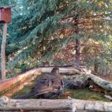 photo 2023-10-14 08-01-28