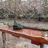 photo 2021-03-19 07-43-07