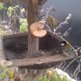 photo 2019-12-04 11-01-19