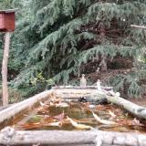 photo 2023-10-20 08-36-31