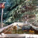 photo 2023-10-16 09-47-40