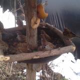 photo 2019-02-01 10-38-32