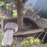 photo 2019-12-12 10-34-57