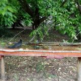 photo 2021-05-24 11-25-56