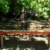 photo 2021-05-10 11-02-29