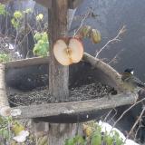 photo 2019-12-03 07-29-11