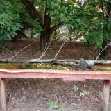 photo 2021-08-12 05-50-10