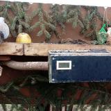 photo 2021-02-10 15-00-30