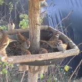 photo 2019-12-17 13-28-14