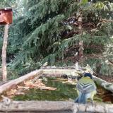 photo 2023-10-04 11-01-07