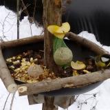 photo 2019-01-12 13-38-42