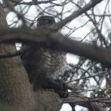 photo 2022-01-24 14-57-23 021