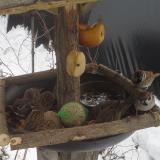 photo 2019-01-27 13-18-41