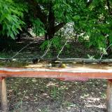 photo 2021-05-25 07-50-36