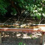 photo 2021-07-08 11-01-44