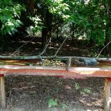 photo 2021-07-22 09-16-40