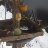 photo 2019-01-27 12-50-10