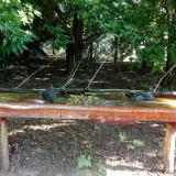 photo 2021-07-24 08-36-01