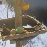 photo 2019-01-27 09-12-13