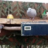 photo 2021-02-10 15-00-48