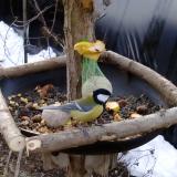 photo 2019-01-17 08-56-28