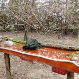 photo 2021-03-22 12-01-39