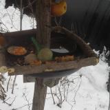 photo 2019-01-24 13-39-38