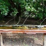 photo 2021-08-23 10-04-12