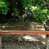 photo 2021-05-15 10-50-26