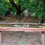 photo 2021-07-13 19-08-40