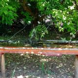 photo 2021-05-26 11-49-33