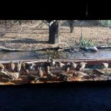 photo 2021-11-24 12-44-01