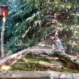 photo 2023-10-03 10-45-20