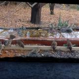 photo 2021-11-08 13-22-54