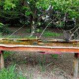 photo 2021-04-29 15-24-55