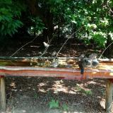 photo 2021-07-23 10-45-40