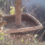 photo 2019-12-19 10-09-18